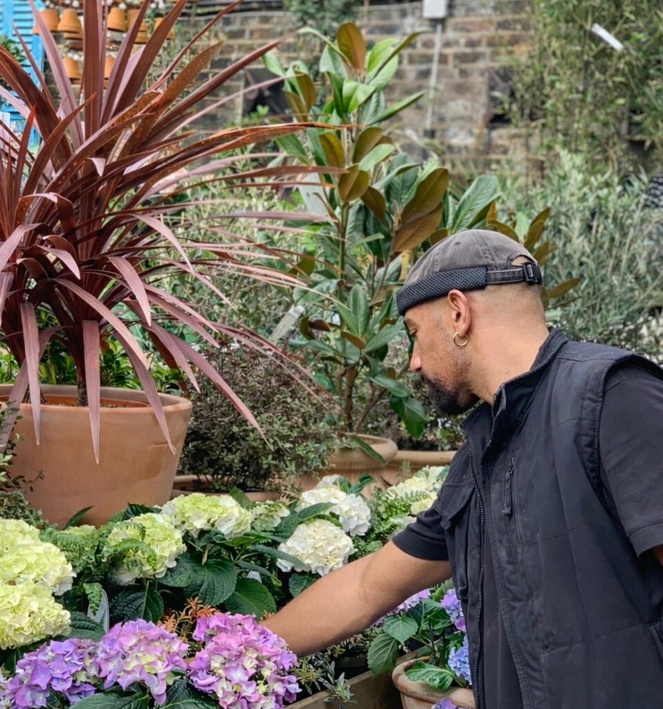 Alexander J. Lynn, a UK-trained garden designer now based in North Carolina.